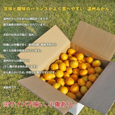 愛媛県西予市産　温州みかん　5kg