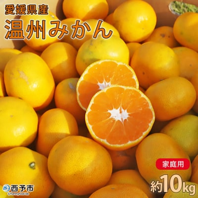 愛媛県西予市産　温州みかん　10kg
