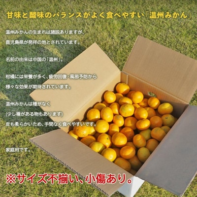 愛媛県西予市産　温州みかん　10kg