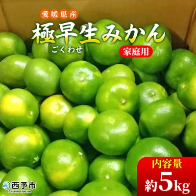 愛媛県西予市産　極早生みかん　5kg