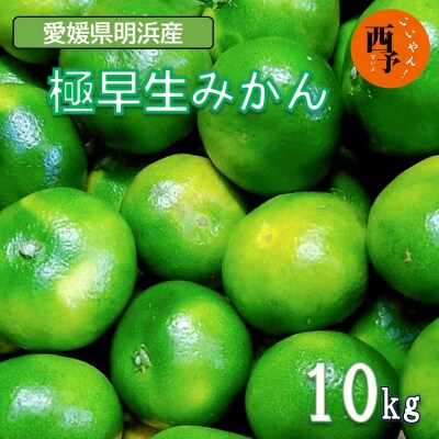 愛媛県西予市産　極早生みかん　10kg