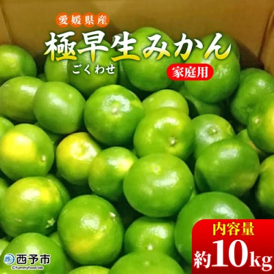 愛媛県西予市産　極早生みかん　10kg