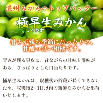 愛媛県西予市産　極早生みかん　10kg