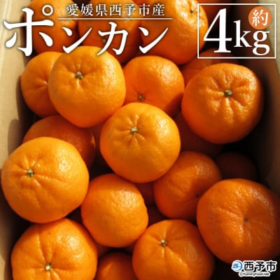 愛媛県西予市産　ポンカン　家庭用4kg