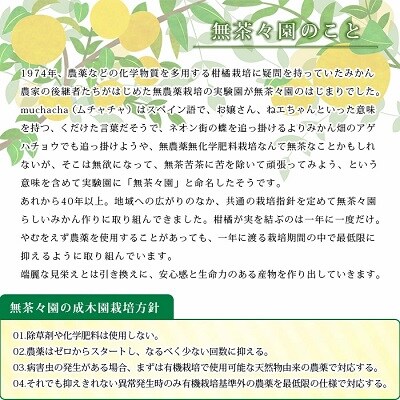 見た目は悪いが味は逸品　無茶々園の愛媛果試28号　3kg