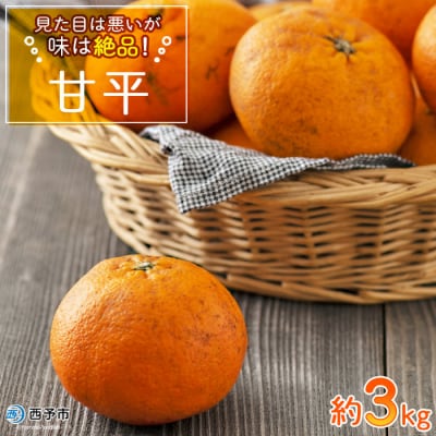 見た目は悪いが味は逸品　無茶々園の甘平　3kg