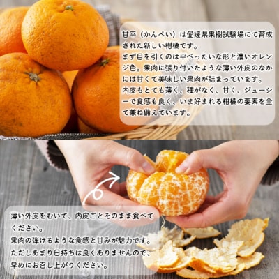 見た目は悪いが味は逸品　無茶々園の甘平　3kg