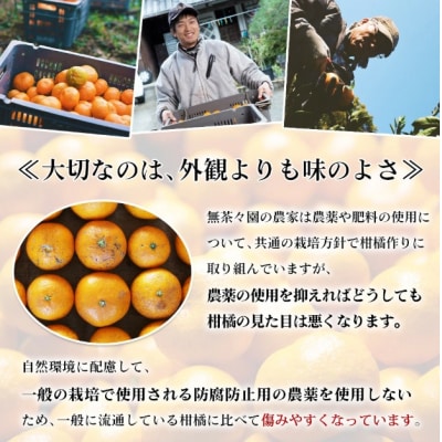 見た目は悪いが味は逸品　無茶々園の甘平　3kg