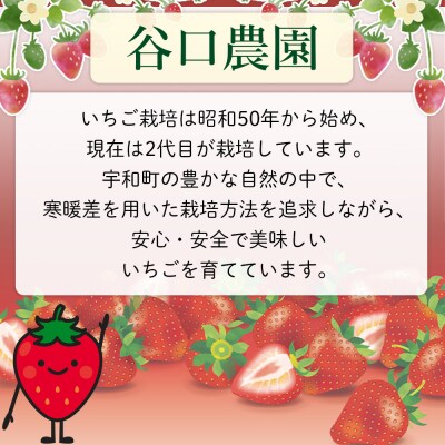 西予市宇和町産　谷口農園のいちご(紅い雫)4パック