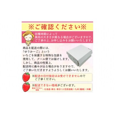 西予市宇和町産　谷口農園のいちご(紅い雫)8パック