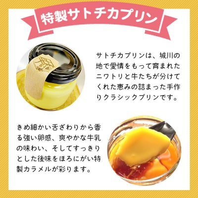 <奥伊予城川の味 特製サトチカプリン(6個セット)>　卵　ぷりん　限定　スイーツ　お菓子