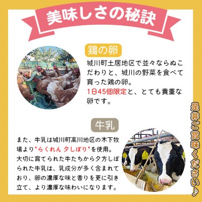 <奥伊予城川の味 特製サトチカプリン(6個セット)>　卵　ぷりん　限定　スイーツ　お菓子