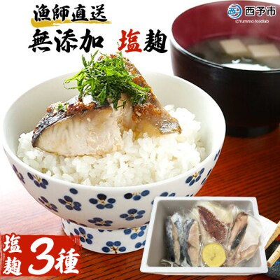 <漁師直送　無添加　塩麹　三種セット(愛媛県西予市明浜産)>　ハマチ　鯛　サワラ　食べ比べ　詰合せ