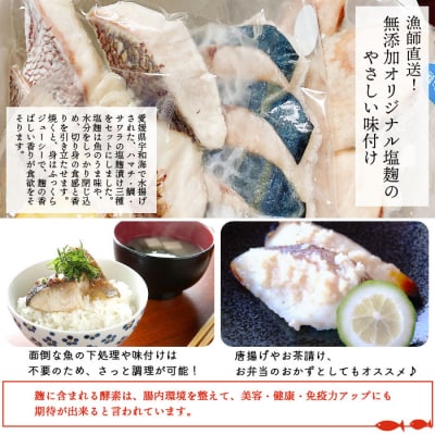 <漁師直送　無添加　塩麹　三種セット(愛媛県西予市明浜産)>　ハマチ　鯛　サワラ　食べ比べ　詰合せ