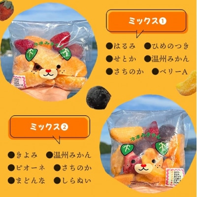 <アイスフルーツボックス(柑橘×いちご×ブドウ)>　果物　果実　食べ比べ　西予市　愛媛