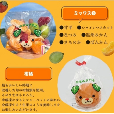 <アイスフルーツボックス(柑橘×いちご×ブドウ)>　果物　果実　食べ比べ　西予市　愛媛