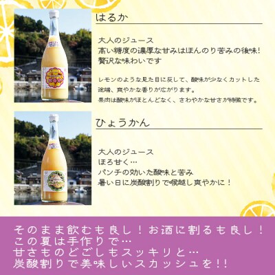 <ジュエリーボックス(ジュース編)厳選10本 数量限定>　柑橘　フルーツ　飲み比べ　果物