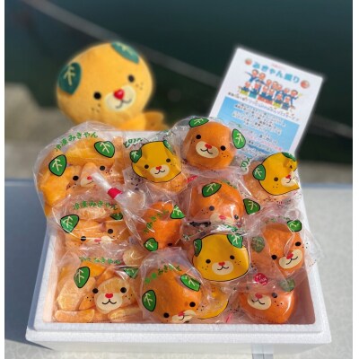 冷凍みきゃんセット　みきゃん盛り