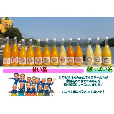 西予市産柑橘ジュエリーボックス4本入り(無添加果汁100%ジュース)