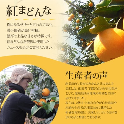 <マルワフルーツ園芸　紅まどんなジュース2本セット>　柑橘　贅沢　果実　特産品　マドンナ