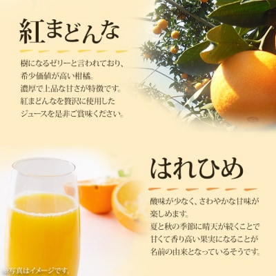 <マルワフルーツ園芸　紅まどんなとはれひめジュース2本セット>　飲み比べ　愛媛　柑橘　特産品　果物