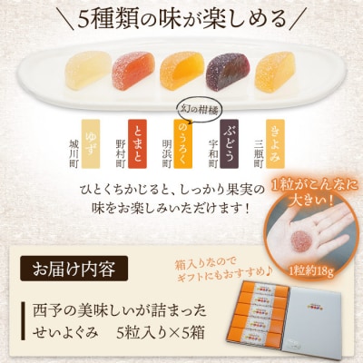 <グミ(ぐみ)果汁たっぷり!西予の美味しいが詰まったせいよぐみ>　おやつ　濃厚　大粒　食べ比べ