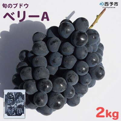 旬のブドウ　西予市産ベリーA(2kg)