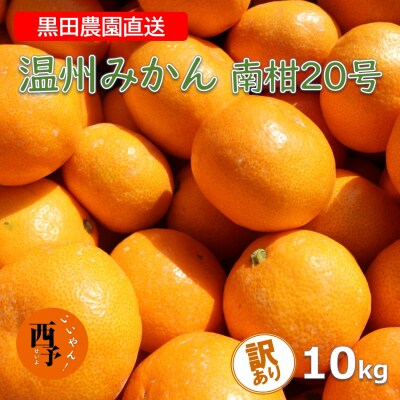 【訳あり】黒田農園直送 西宇和産温州みかん 10kg(南柑20号、サイズ不揃い)