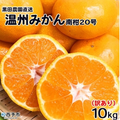 【訳あり】黒田農園直送　西宇和産温州みかん　10kg(南柑20号、サイズ不揃い)