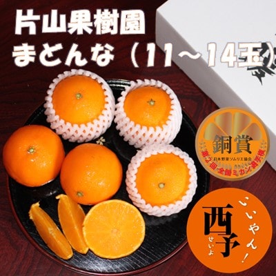 とびっきりの愛媛片山果樹園　まどんな(11～14玉)