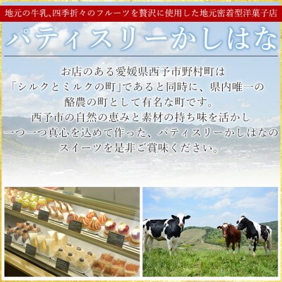 <ルナ・セトーザ(ドゥーブルフロマージュ)チーズケーキ>　洋菓子　スイーツ　ベイクド　レア
