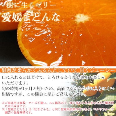  <愛媛県西予市産 愛媛まどんな ご家庭用 約4kg> 約15～30個入り 訳あり 柑橘