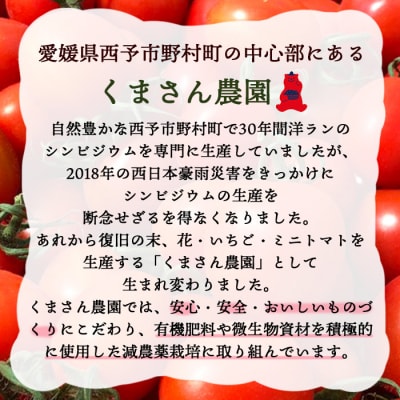 <甘くて濃厚な味わい「うるるんトマト」(1kg)>　とまと　野菜　ジューシー　西予市　野村