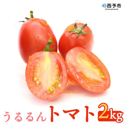 <甘くて濃厚な味わい「うるるんトマト」(2kg)>　とまと　野菜　ジューシー　西予市　野村