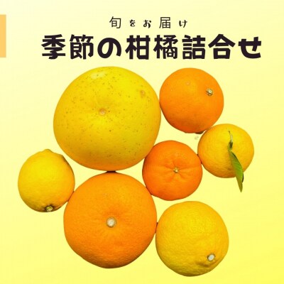 旬をお届け!季節の柑橘詰め合わせ(愛媛県西予市明浜産)【2回に分けて配送】