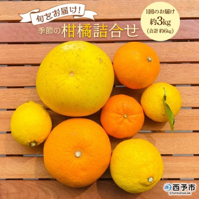 旬をお届け!季節の柑橘詰め合わせ(愛媛県西予市明浜産)【2回に分けて配送】