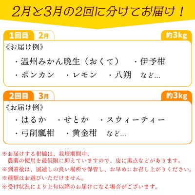旬をお届け!季節の柑橘詰め合わせ(愛媛県西予市明浜産)【2回に分けて配送】