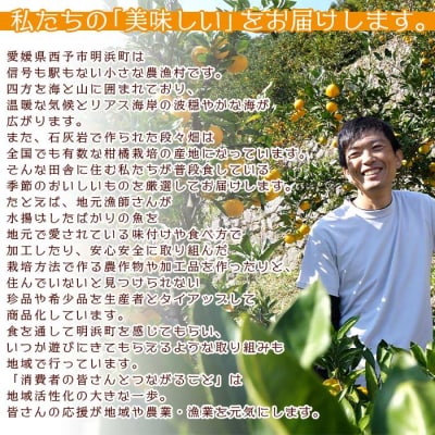 旬をお届け!季節の柑橘詰め合わせ(愛媛県西予市明浜産)【2回に分けて配送】