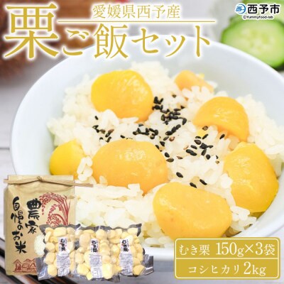愛媛県西予市産　栗ご飯セット(むき栗150g×3個・コシヒカリ2kg)
