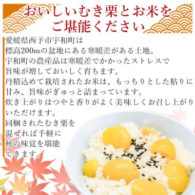 愛媛県西予市産　栗ご飯セット(むき栗150g×3個・コシヒカリ2kg)