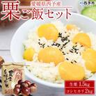 愛媛県西予市産　栗ご飯セット(生栗1.5kg・コシヒカリ2kg)