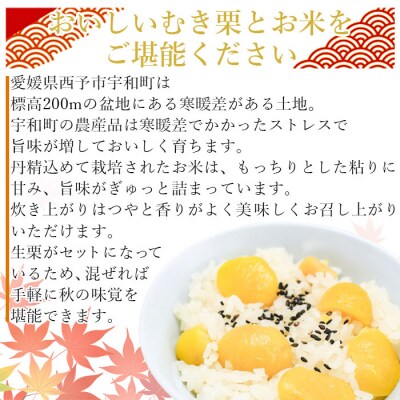 愛媛県西予市産　栗ご飯セット(生栗1.5kg・コシヒカリ2kg)