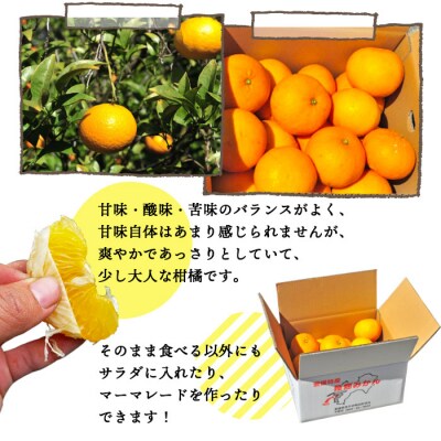 <愛媛県西予市産　甘夏　家庭用8kg>　柑橘　フルーツ　果実　果汁　自宅用　果物