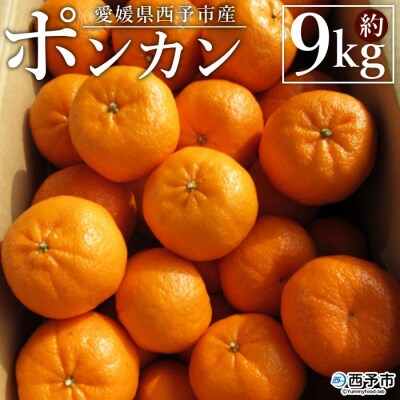 <愛媛県西予市産 ポンカン 約9kg 贈答用> 果物 くだもの フルーツ 蜜柑 ミカン 柑橘
