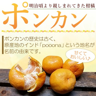 <愛媛県西予市産 ポンカン 約9kg 贈答用> 果物 くだもの フルーツ 蜜柑 ミカン 柑橘