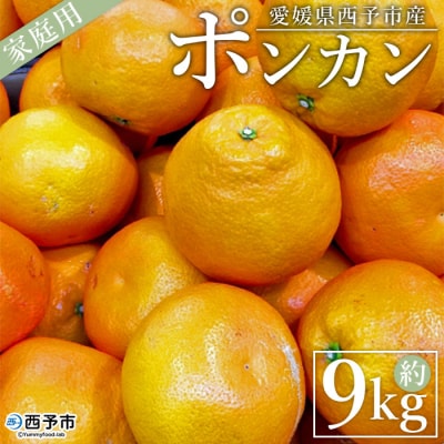 愛媛県西予市産　ポンカン　家庭用9kg