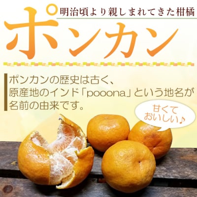 愛媛県西予市産　ポンカン　家庭用9kg