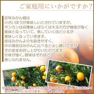 愛媛県西予市産　ポンカン　家庭用9kg