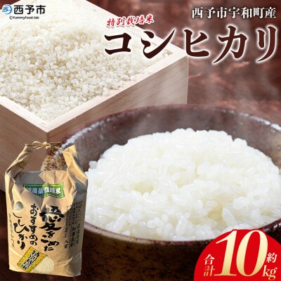 <令和7年産:西予市宇和町産特別栽培米コシヒカリ10kg>　コメ　ご飯　ゴハン　特産品　こしひかり