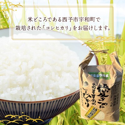 <令和7年産:西予市宇和町産特別栽培米コシヒカリ10kg>　コメ　ご飯　ゴハン　特産品　こしひかり